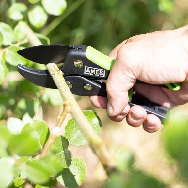AMES Ratchet Action Pruner-Easy Garden Centre