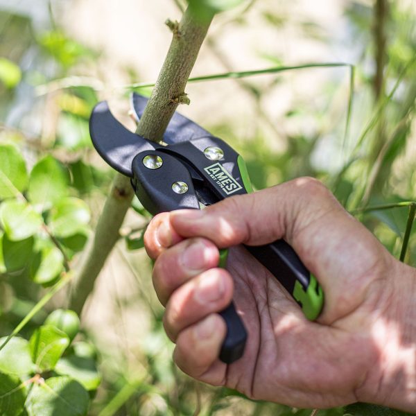 AMES Ratchet Action Pruner-Easy Garden Centre
