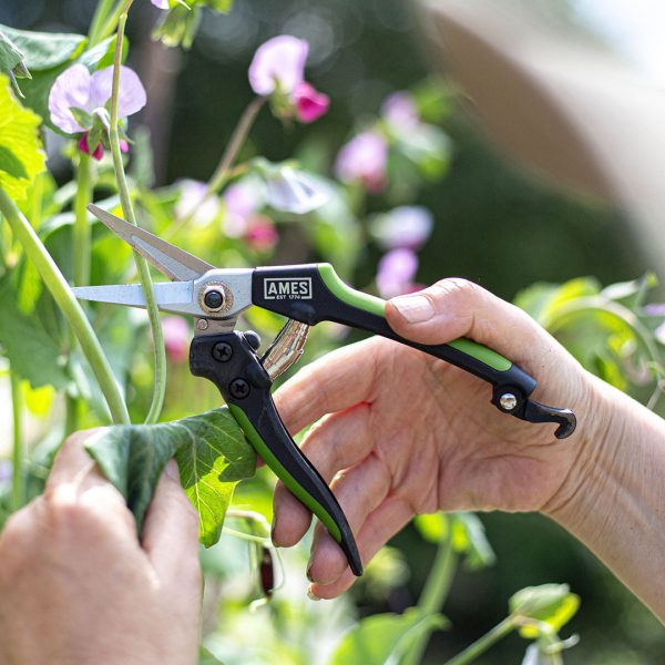 AMES Precision Snips-Easy Garden Centre