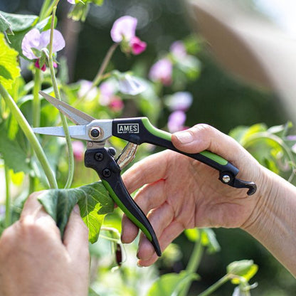 AMES Precision Snips-Easy Garden Centre