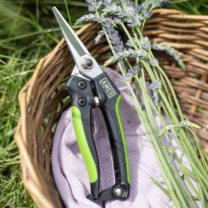 AMES Precision Snips-Easy Garden Centre