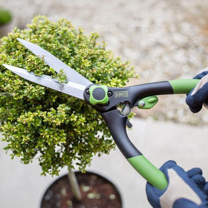 AMES Hand Shears-Easy Garden Centre