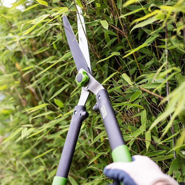 AMES Hedge Shears-Easy Garden Centre