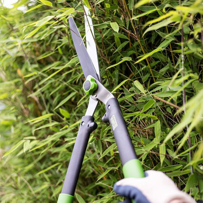 AMES Hedge Shears-Easy Garden Centre