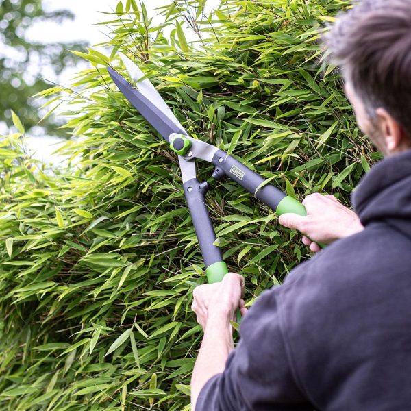 AMES Hedge Shears-Easy Garden Centre