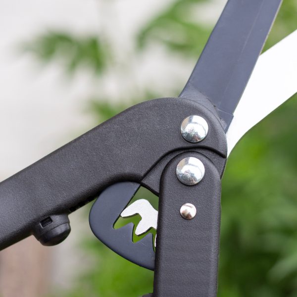 AMES Geared Hedge Shears-Easy Garden Centre