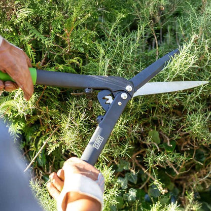 AMES Geared Hedge Shears-Easy Garden Centre