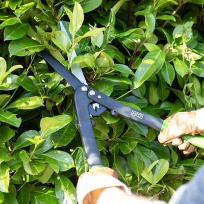 AMES Geared Hedge Shears-Easy Garden Centre