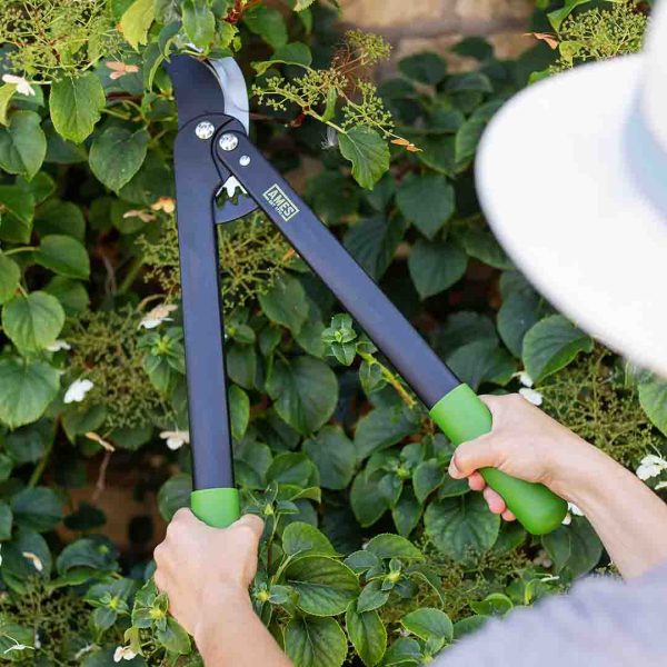 AMES Geared Bypass Lopper-Easy Garden Centre