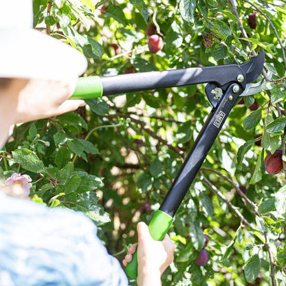 AMES Geared Bypass Lopper-Easy Garden Centre