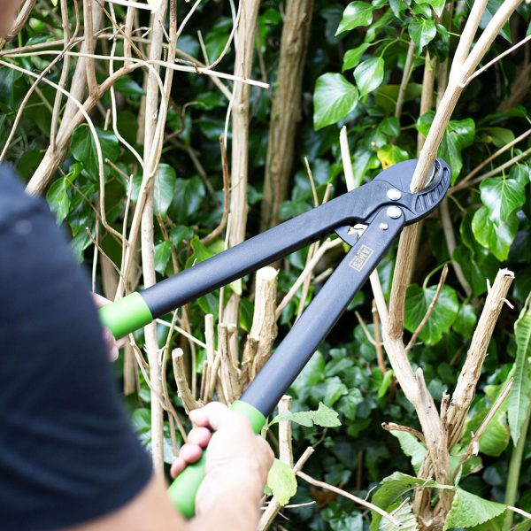 AMES Geared Anvil Lopper-Easy Garden Centre