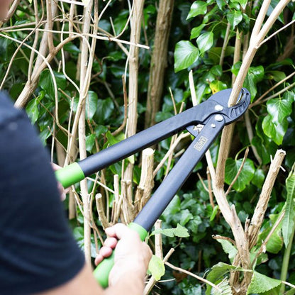 AMES Geared Anvil Lopper-Easy Garden Centre