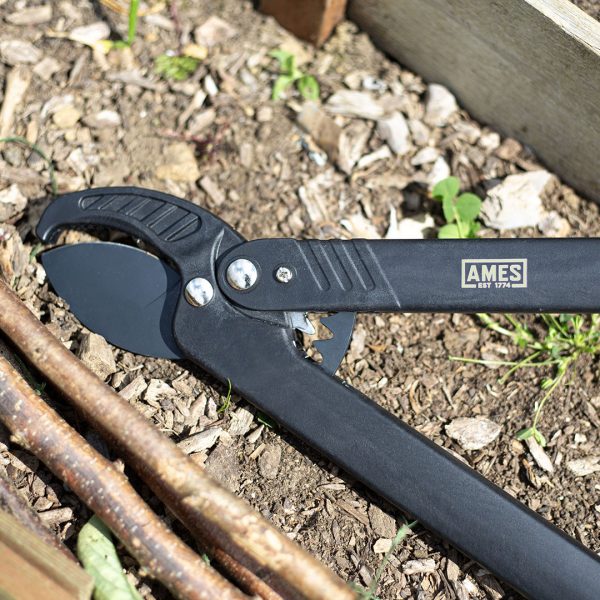 AMES Geared Anvil Lopper-Easy Garden Centre