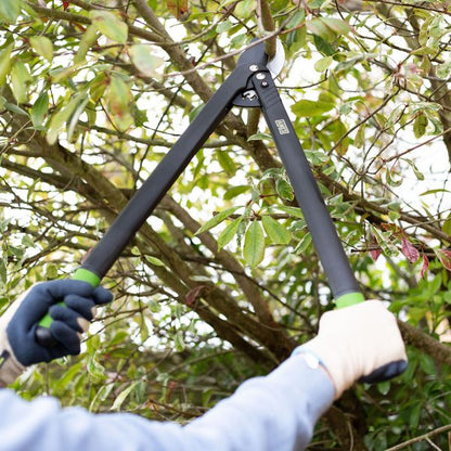 AMES Long Reach Geared Bypass Lopper-Easy Garden Centre