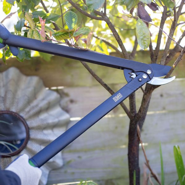 AMES Long Reach Geared Bypass Lopper-Easy Garden Centre