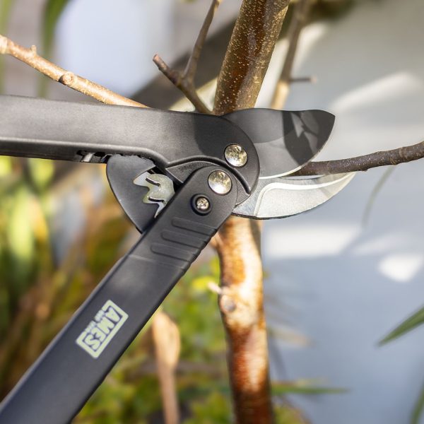 AMES Long Reach Geared Bypass Lopper-Easy Garden Centre
