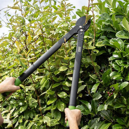 AMES Long Reach Geared Anvil Lopper-Easy Garden Centre