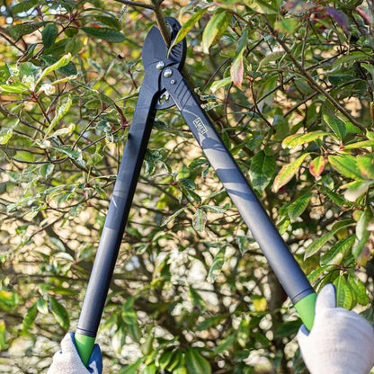 AMES Long Reach Geared Anvil Lopper-Easy Garden Centre