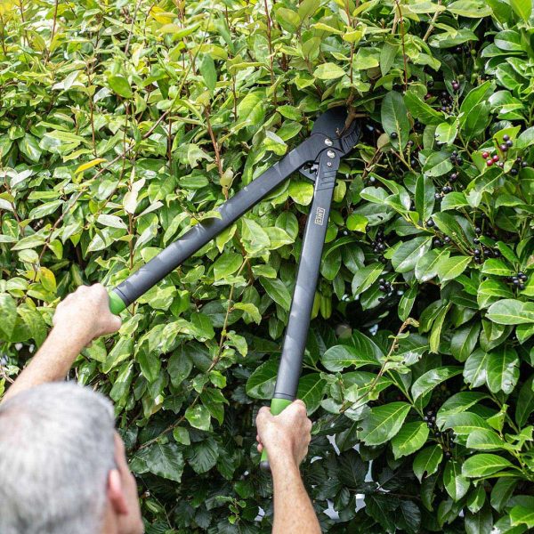 AMES Long Reach Geared Anvil Lopper-Easy Garden Centre