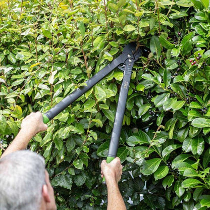 AMES Long Reach Geared Anvil Lopper-Easy Garden Centre