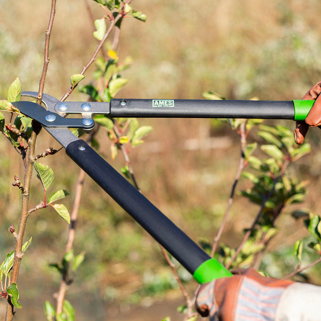 AMES Compound Bypass Lopper-Easy Garden Centre