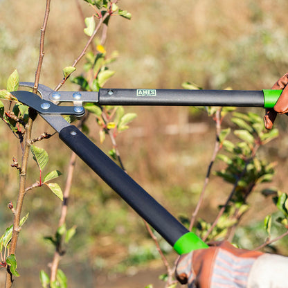 AMES Compound Bypass Lopper-Easy Garden Centre
