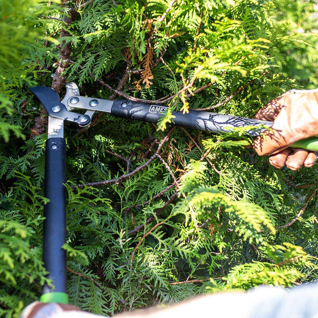 AMES Compound Bypass Lopper-Easy Garden Centre
