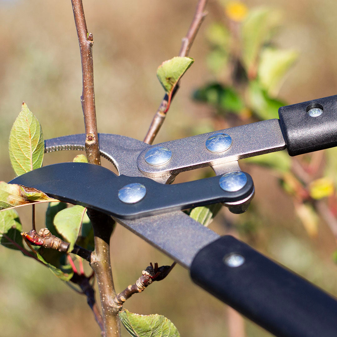 AMES Compound Bypass Lopper-Easy Garden Centre