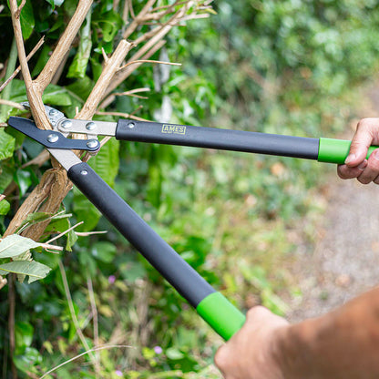 AMES Compound Anvil Lopper-Easy Garden Centre