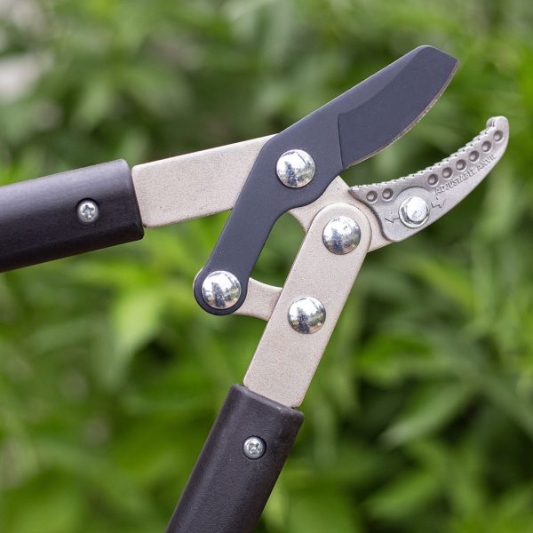 AMES Compound Anvil Lopper-Easy Garden Centre