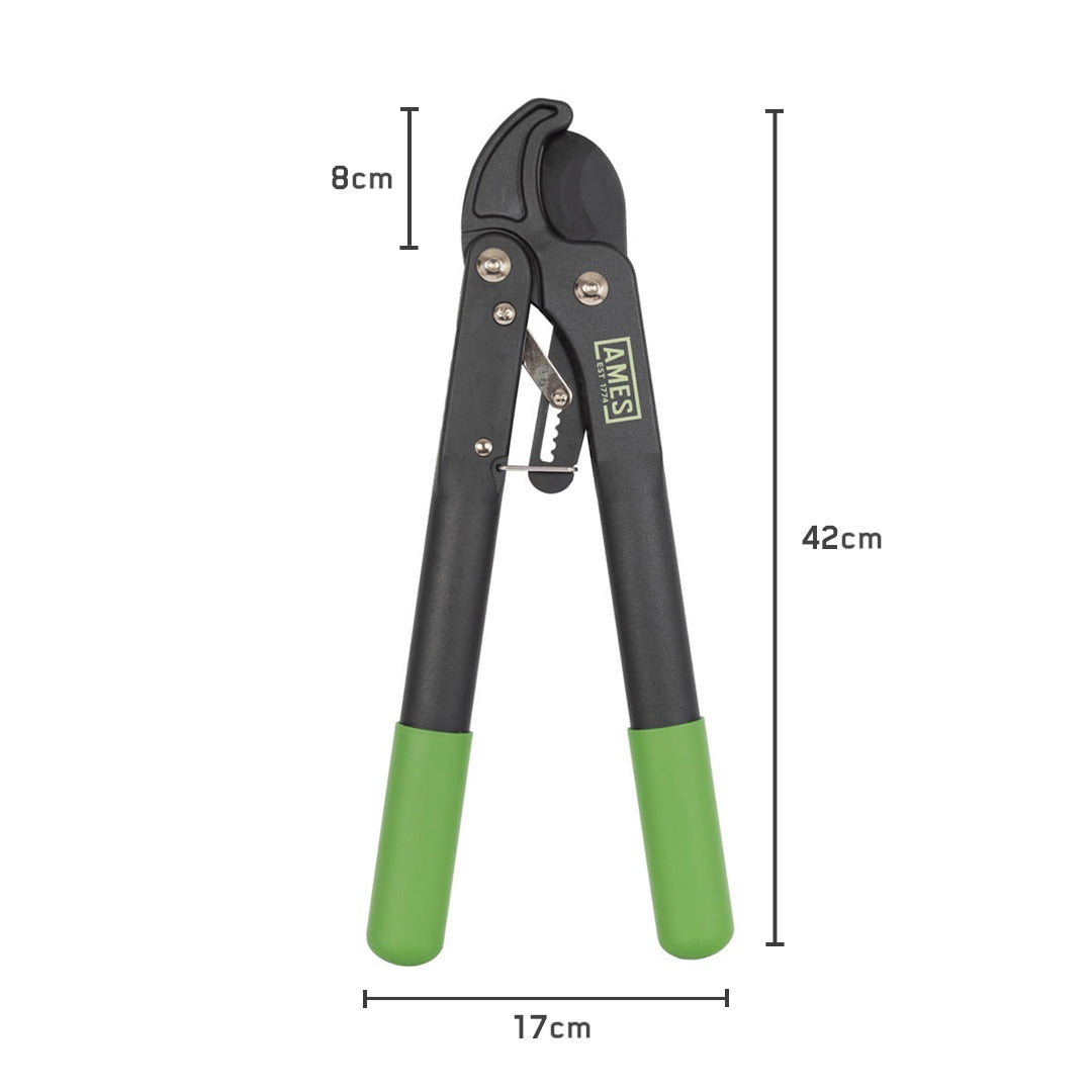 AMES Compact Ratchet Anvil Lopper-Easy Garden Centre