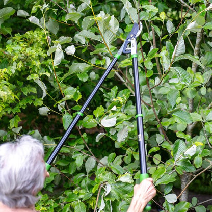 AMES Telescopic Geared Bypass Lopper-Easy Garden Centre
