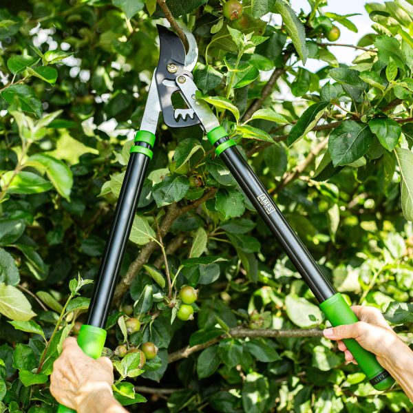 AMES Telescopic Geared Bypass Lopper-Easy Garden Centre