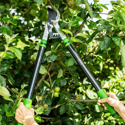 AMES Telescopic Geared Bypass Lopper-Easy Garden Centre
