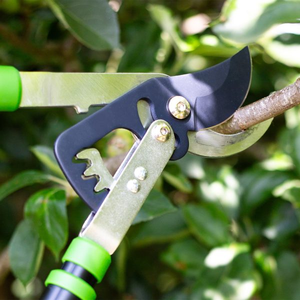 AMES Telescopic Geared Bypass Lopper-Easy Garden Centre