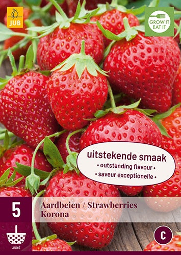 5 Strawberries Korona