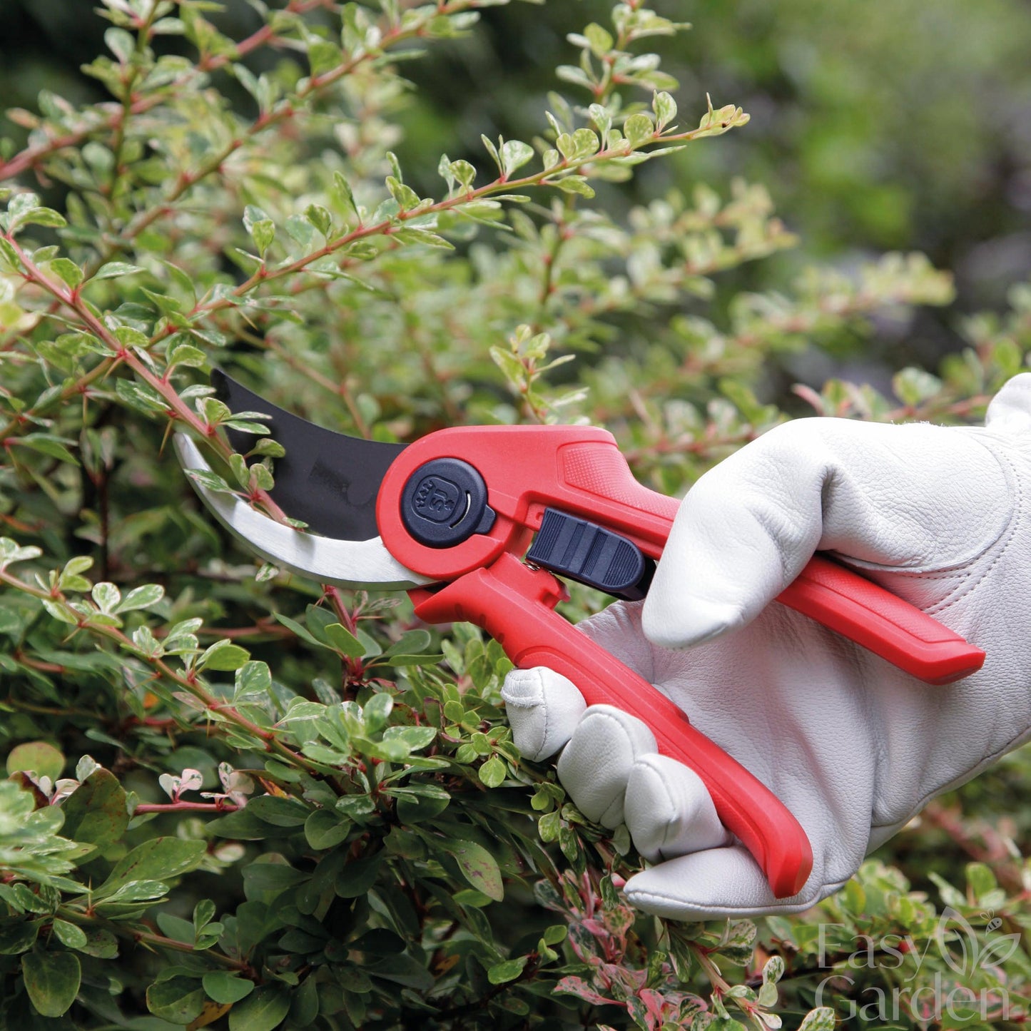 ACTIVE LARGE BYPASS SECATEURS-Easy Garden Centre