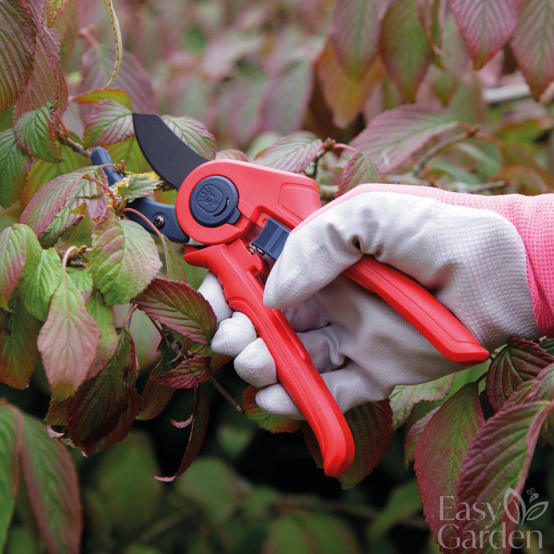 ACTIVE MEDIUM ANVIL SECATEURS-Easy Garden Centre