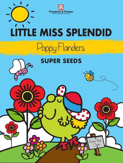 Little Miss Splendid Poppy Flanders