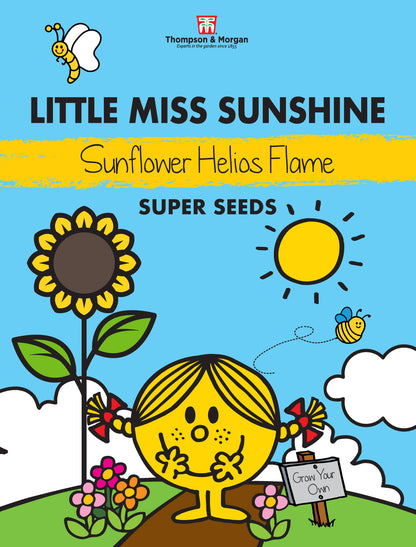 Little Miss Sunshine Sunflower Helios Flame