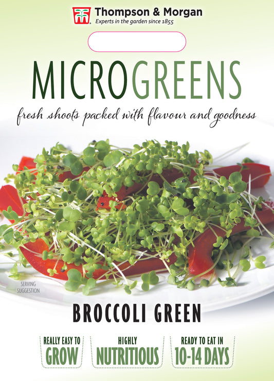 Microgreens Broccoli Green