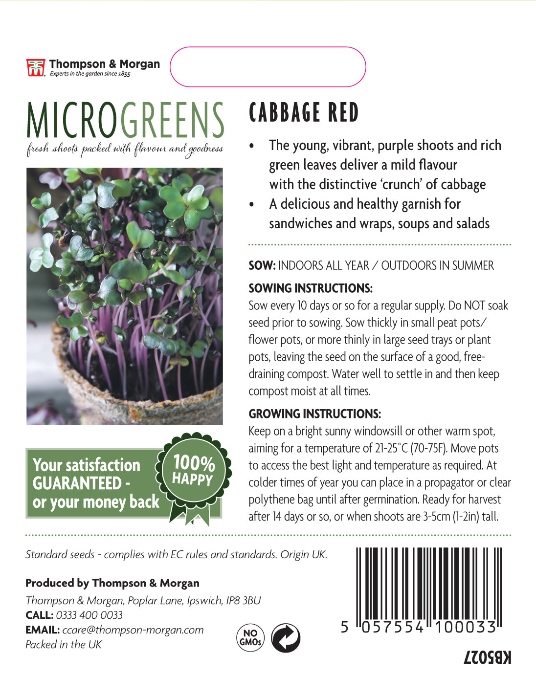 Microgreens Cabbage Red