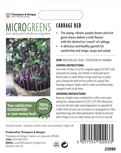 Microgreens Cabbage Red