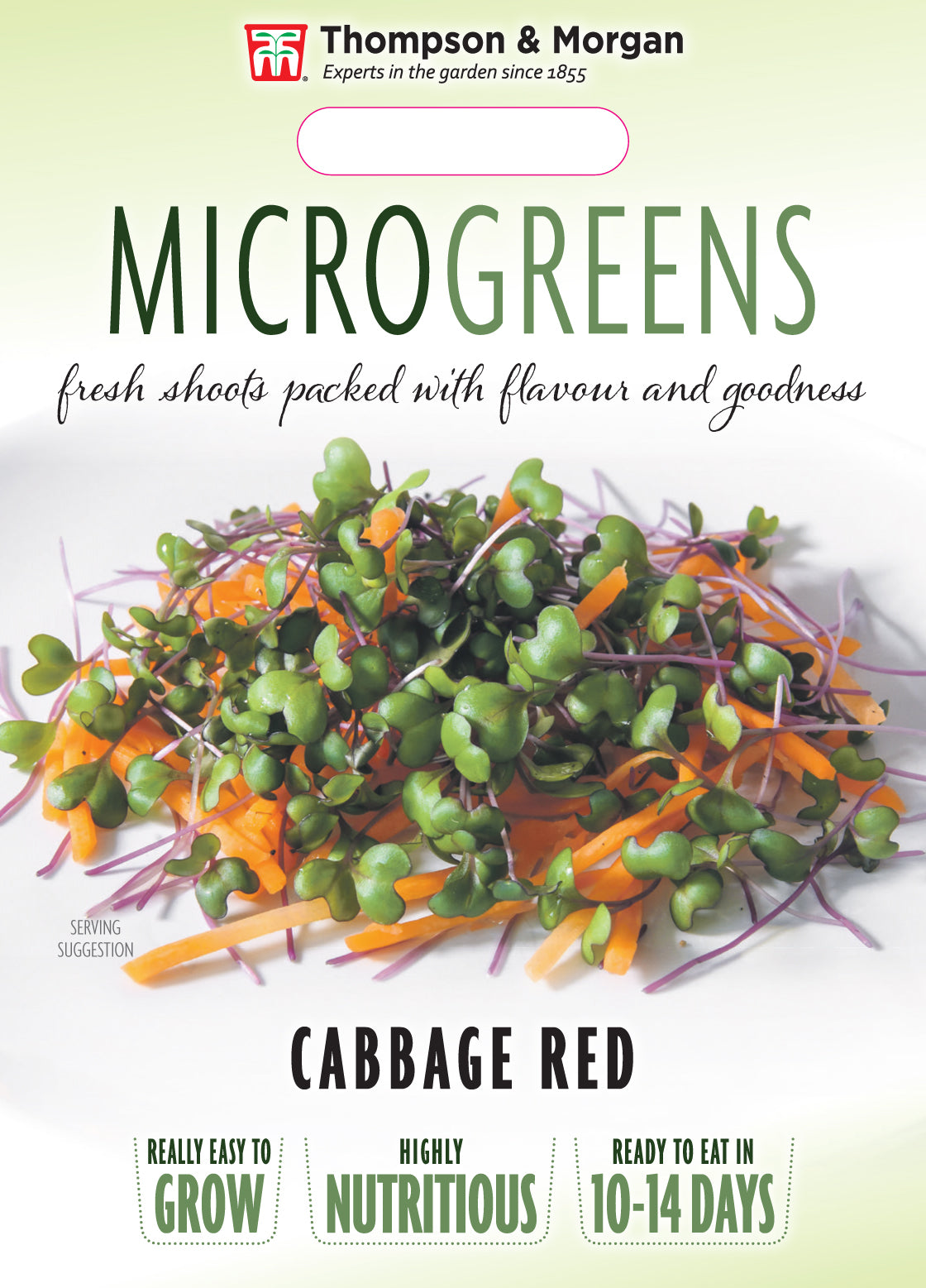 Microgreens Cabbage Red