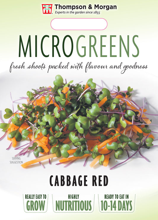 Microgreens Cabbage Red