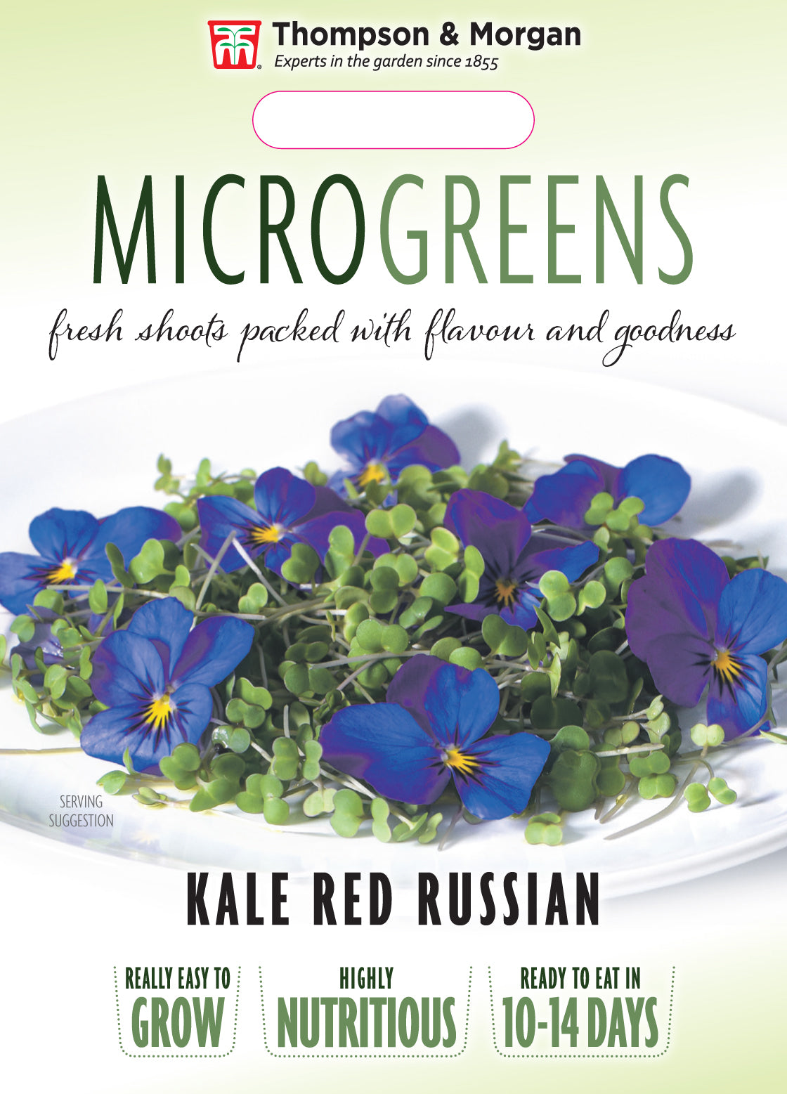 Microgreens Kale Red Russian