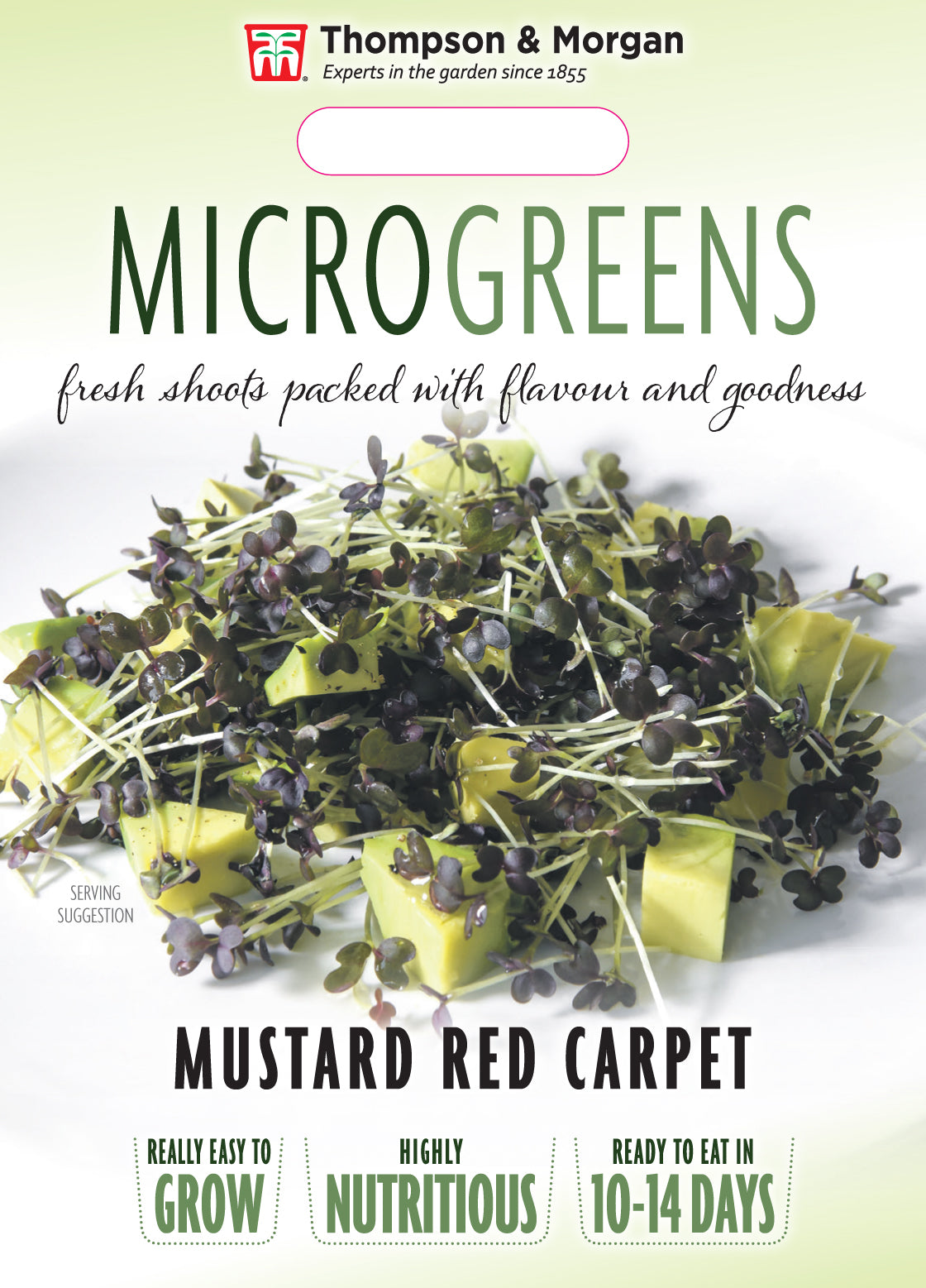 Microgreens Mustard Red Carpet