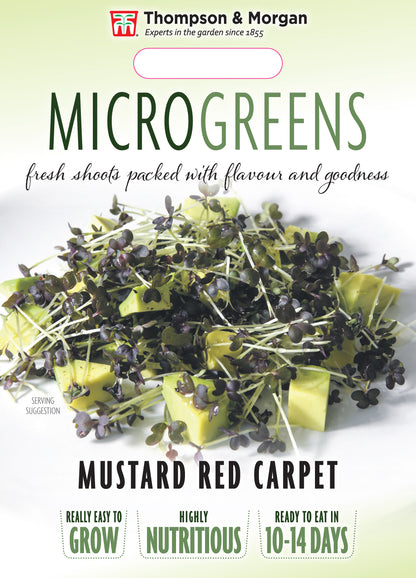 Microgreens Mustard Red Carpet