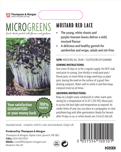 Microgreens Mustard Red Lace