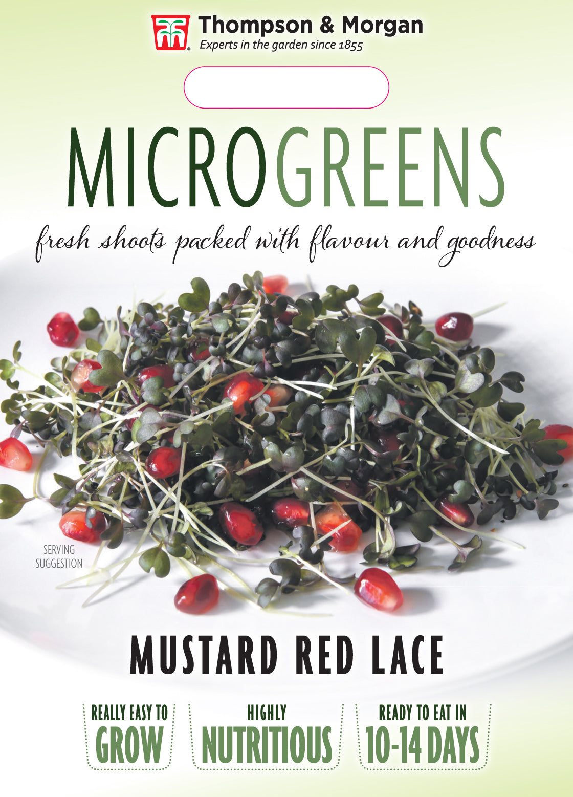 Microgreens Mustard Red Lace